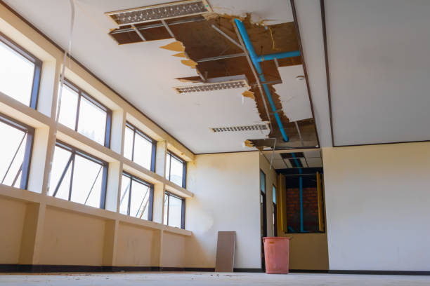 Best Mold removal after water damage  in Glen Rock, PA
