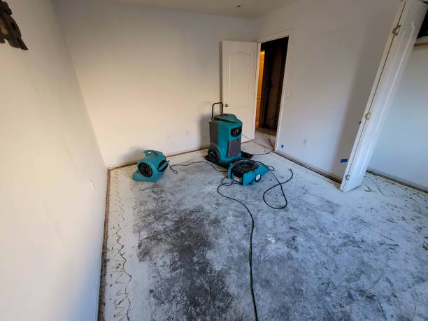 Best Flooded house restoration  in Glen Rock, PA
