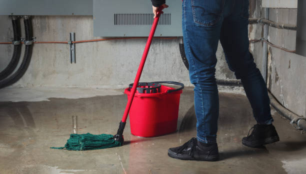 Best Water damage restoration specialists  in Glen Rock, PA