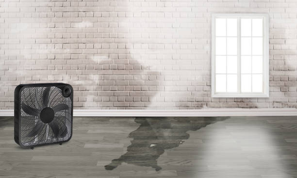 Best Sewage cleanup and water damage restoration  in Glen Rock, PA