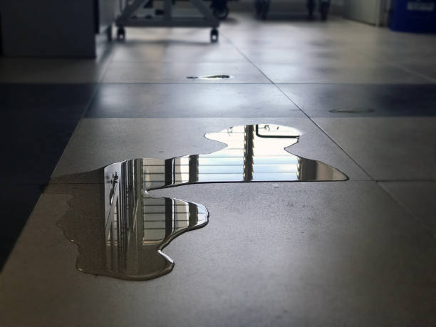 Best Professional water damage repair  in Glen Rock, PA