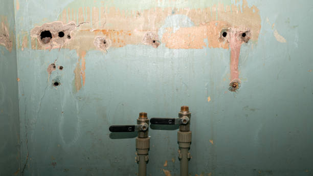 Best Water damage cleanup near me  in Glen Rock, PA